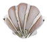 Seashell Pink Shell Southwest Sterling Silver Ring Size 7-1/4 FX22353